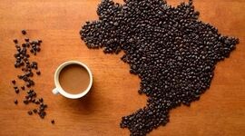 قیمت جهانی قهوه در بالاترین حد تاریخی خود

