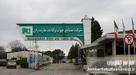 طرح تنفس جنگل؛ چالشی بزرگ بر سر راه صنعت سبز مازندران و ایران