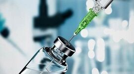 تولید 50 میلیارد دوز واکسن در حوزه طیور طی 23 سال اخیر

