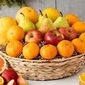 میوه‌ها و سبزیجات زمستانی و خواص شگفت‌انگیز آن‌ها برای سلامتی