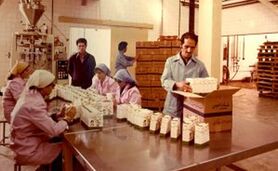 بخش بیست و پنجم: گرایش به سمت صنعتی شدن کشور با توسعه صنایع تبدیلی، تکمیلی و فرآوری