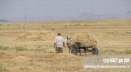 مرگ یک رویا: چرا سند چشم‌انداز ۱۴۰۴ به اهدافش نرسید؟