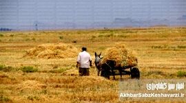 مرگ یک رویا: چرا سند چشم‌انداز ۱۴۰۴ به اهدافش نرسید؟