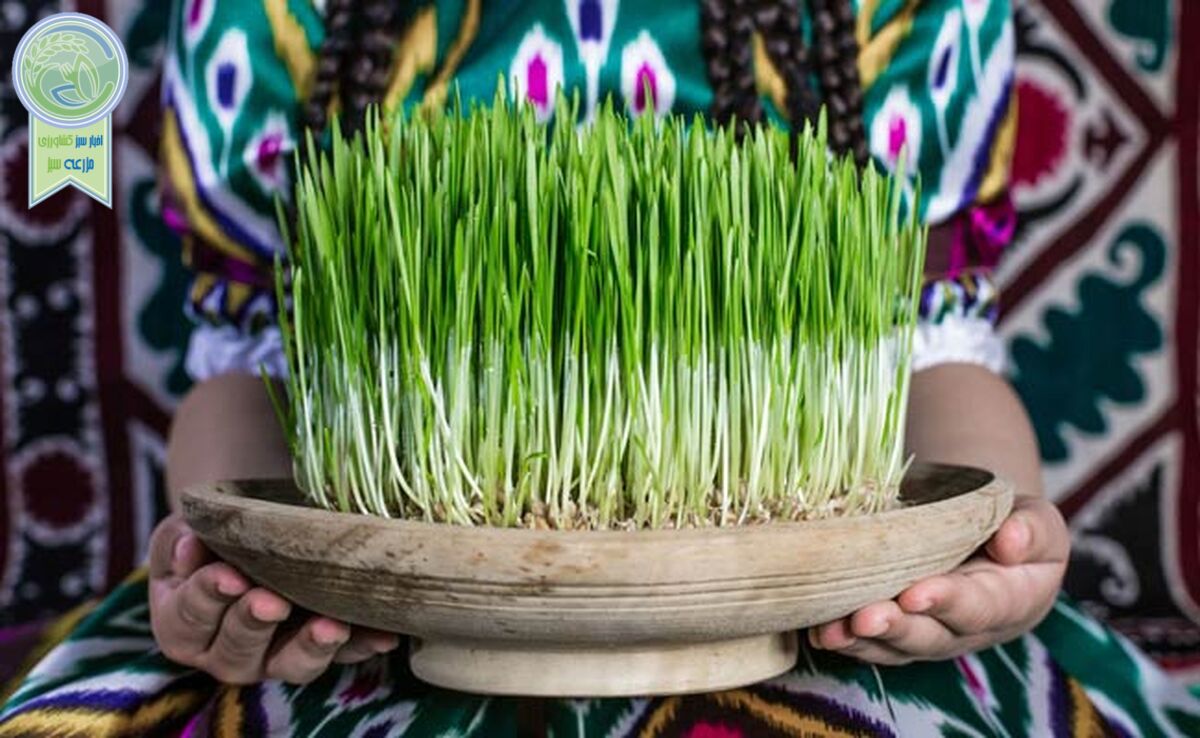 نوروز، فراتر از یک جشن بهاری و پیام‌آور صلح و دوستی

