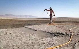 ابهام درباره مالچ‌پاشی دریاچه ارومیه

