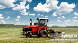امنیت غذایی در سراشیبی تصمیمات انرژی