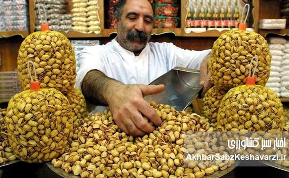 زنگ خطر سالمونلا: «پسته آلوده» و کابوس تازه در صادرات غیرنفتی ایران