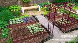 یک باغچه پر از سبزی