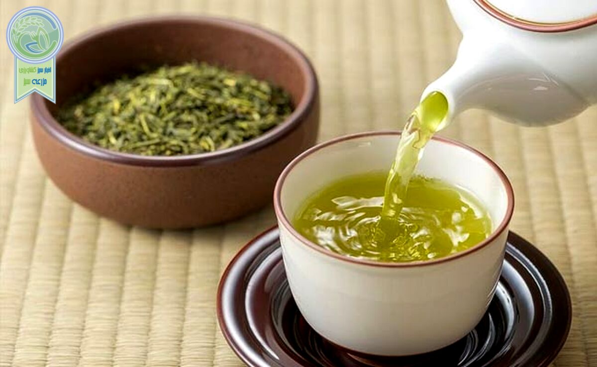 چای سبز را به ‌اندازه بخورید