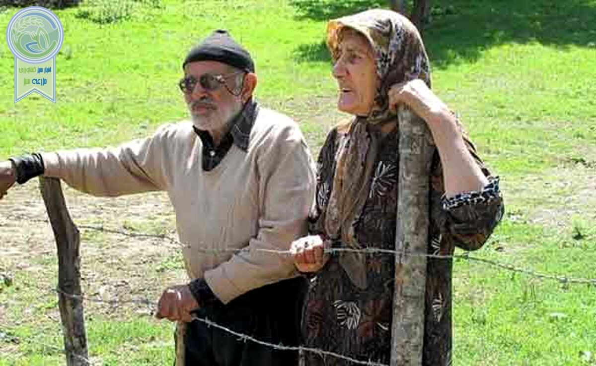 سالمندان و امنیت پایین اقتصادی
