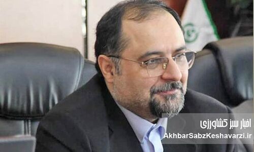 ذات تمرکز گرای حکمرانی تجاری غذا

