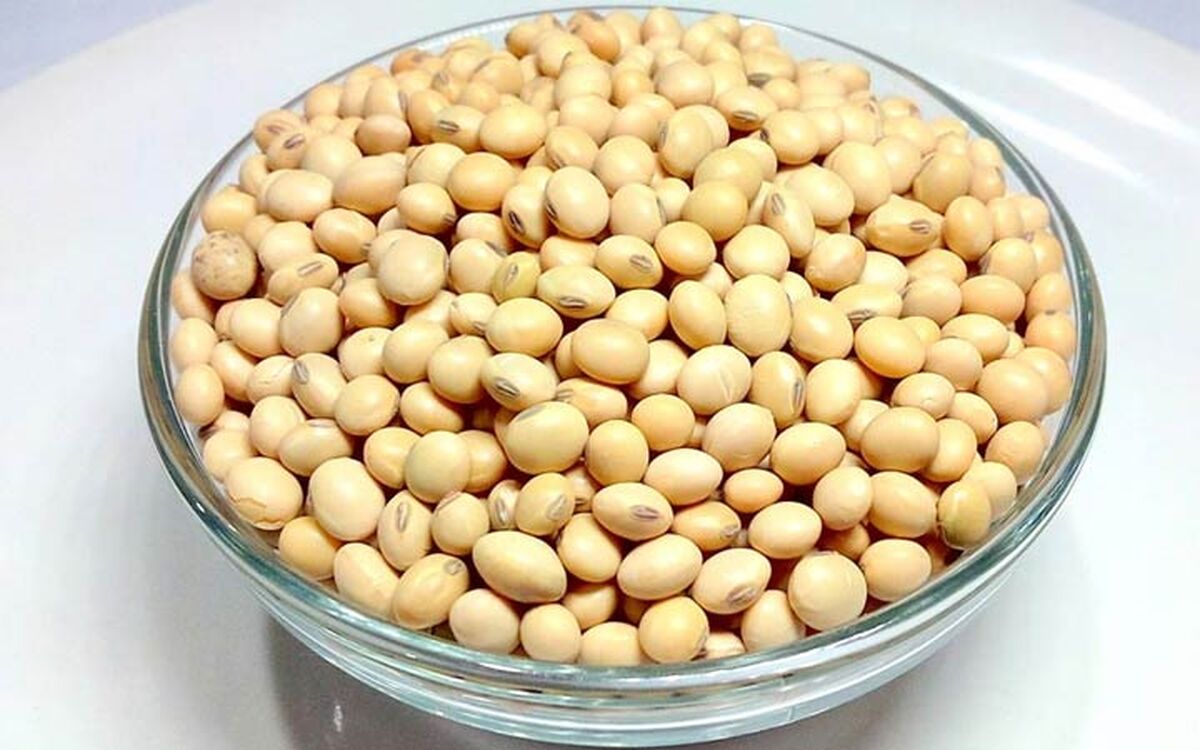 مصرف سویا چه خطراتی دارد؟ نکات مهم درباره عوارض مصرف بی‌رویه سویا

