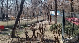 اصرار شهرداری بر ساخت مسجد در پارک قیطریه

