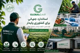 GLOBALG.A.P؛ کلید طلایی توسعه صادرات محصولات کشاورزی هرمزگان به بازارهای جهانی