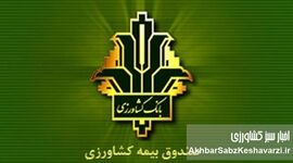خبر خوب برای گندمکاران؛ غرامت‌ها ۱۴۰٪ بیشتر شد، بیمه هم فراگیرتر
