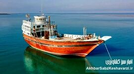 زمهریر گردشگری جنوب؛ روایت تلخ اقامتگاه‌ها از لغو تورهای زمستانی