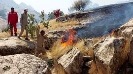 آتش بار دیگر در جنگل‌های باشت شعله‌ور شد