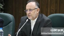 کارخانه چوب و کاغذ مازندران نفس تازه می‌کشد: تثبیت سهمیه ۱۸ مگاواتی؛ گامی به سوی رونق تولید