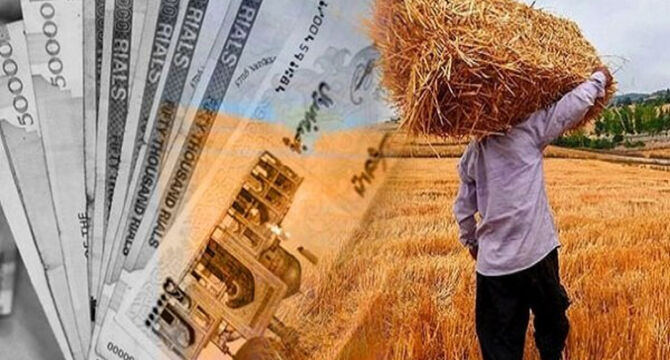 تأخیر مطالبات گندمکاران، خرید تضمینی و کشت پاییزه را تهدید کرد