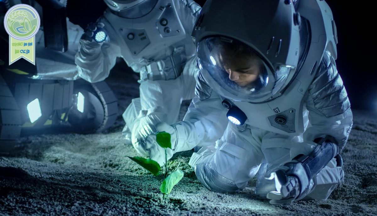  ناسا قصد دارد بر روی کره ماه گیاه بکارد

