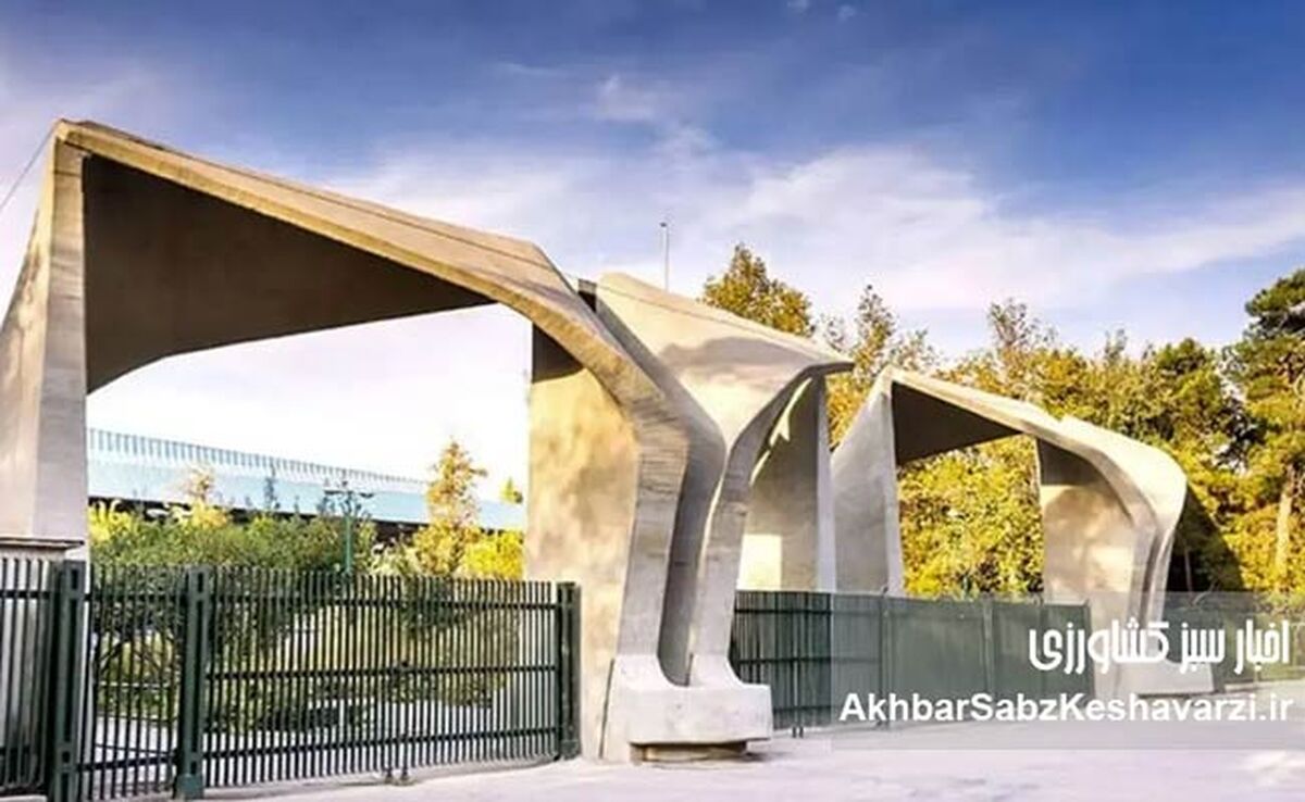 شوک حقوقی در آموزش عالی؛ شکاف عمیق میان حقوق اعضای هیأت علمی و کارکنان دانشگاه‌ها