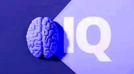 رتبه هوش ایرانی‌ها در چه جایگاهی قرار دارد؟+ جدول

