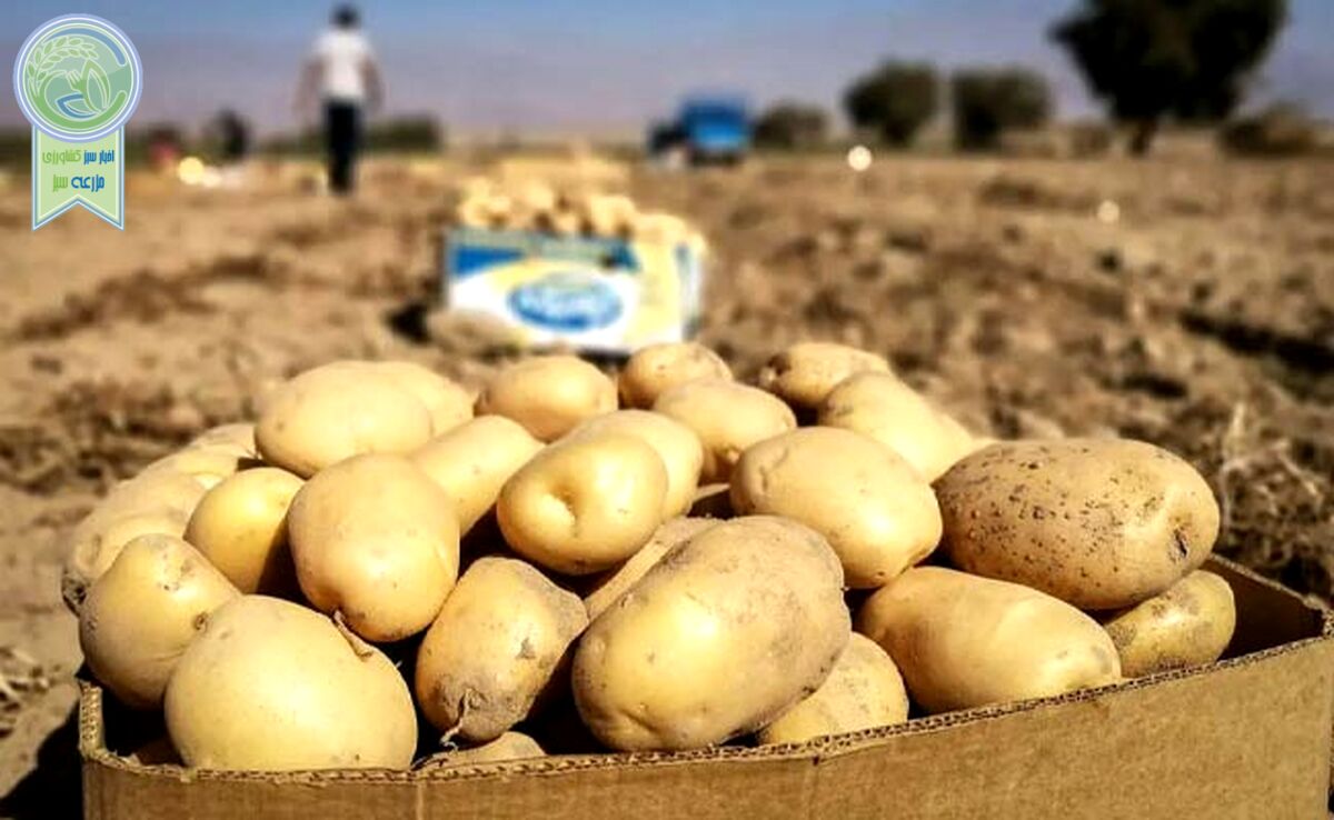 جلوگیری از صادرات برای تنظیم بازار داخلی ممنوع است+ سند

