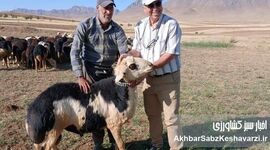 چهارچشمه خمین؛ روستایی با ظرفیت‌های کشاورزی، دامداری و گردشگری+ویدئو