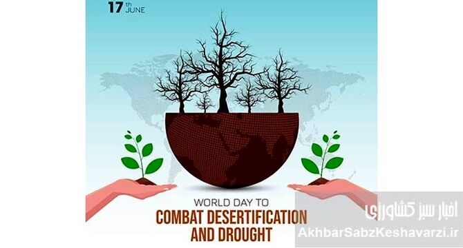 بیابان‌زایی در حال بلعیدن زمین؛ زنگ خطر جهانی برای آینده


