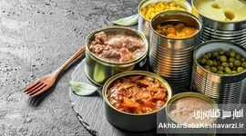 انقلاب در بسته‌بندی نوین؛ ماندگاری محصولات بدون نیاز به یخچال!