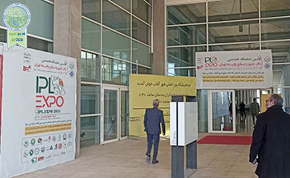پایانی با خاطره خوش+ عکس

