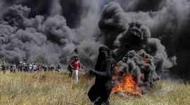  تخریب محیط زیست در جنگ: فاجعه ای خاموش با پیامدهای ماندگار
