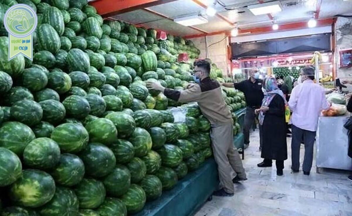 کمبودی در ذخیره میوه برای شب یلدا نداریم

