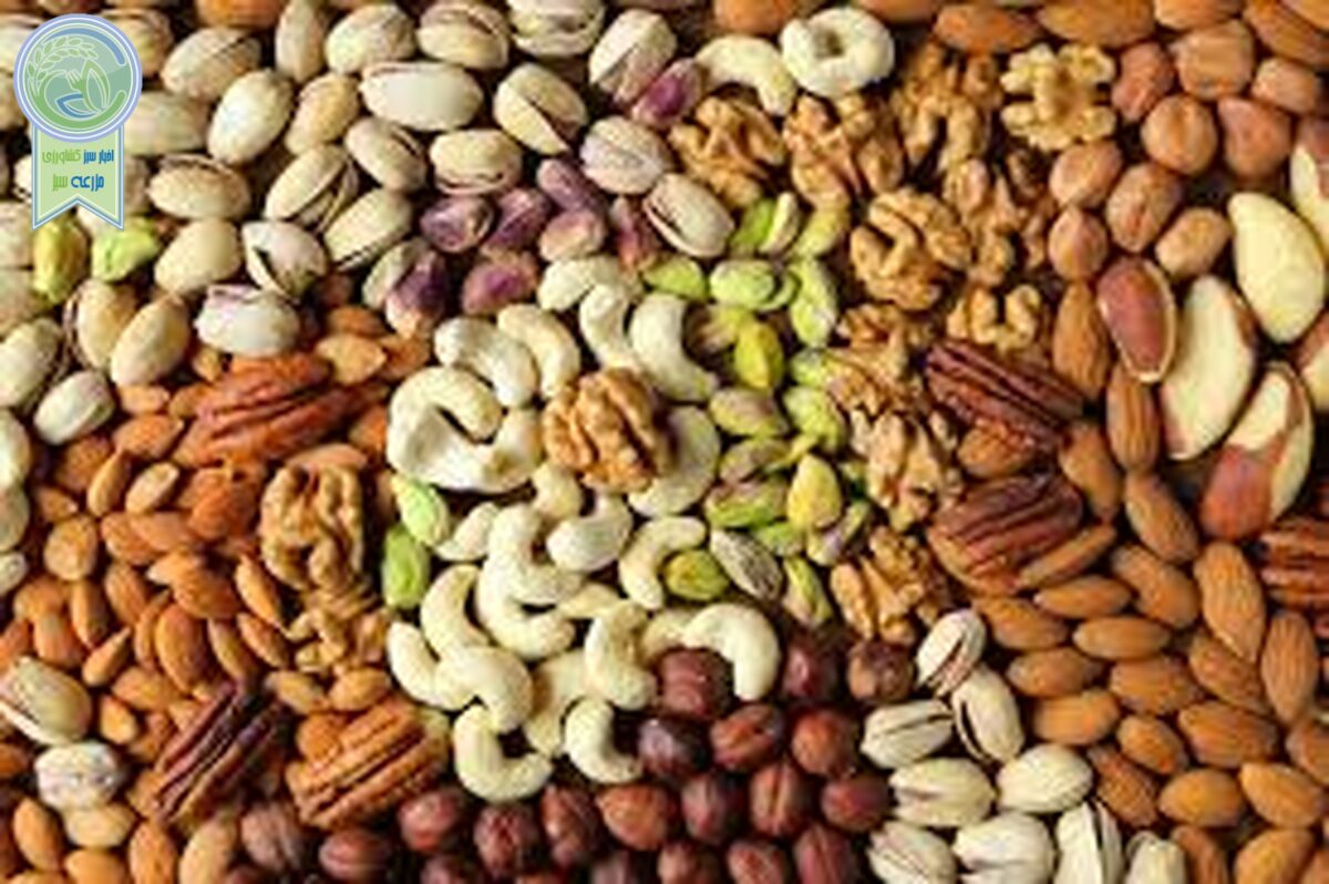 خشکبارهایی با پروتئین بیشتر از تخم مرغ