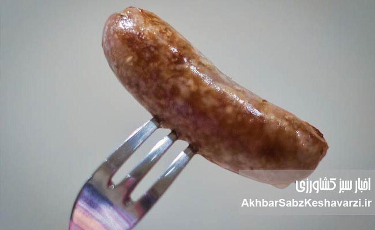 شفافیت در برچسب‌گذاری؛ کلید جلب اعتماد مصرف‌کننده در بازار سوسیس و کالباس