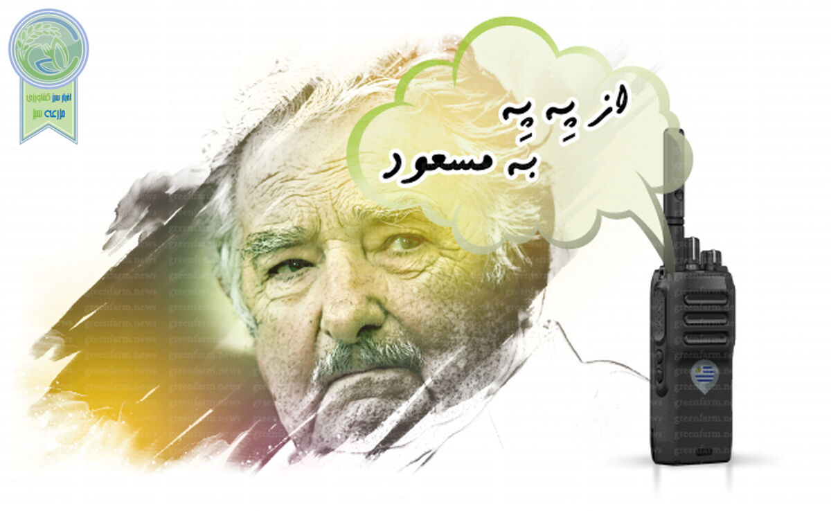 از پِه پِه به مسعود+ ویدئو


