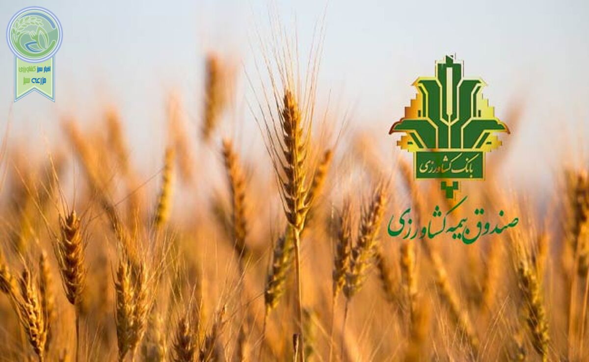 ایران پیشرو در به کارگیری فناوری‌های نوین بیمه کشاورزی 