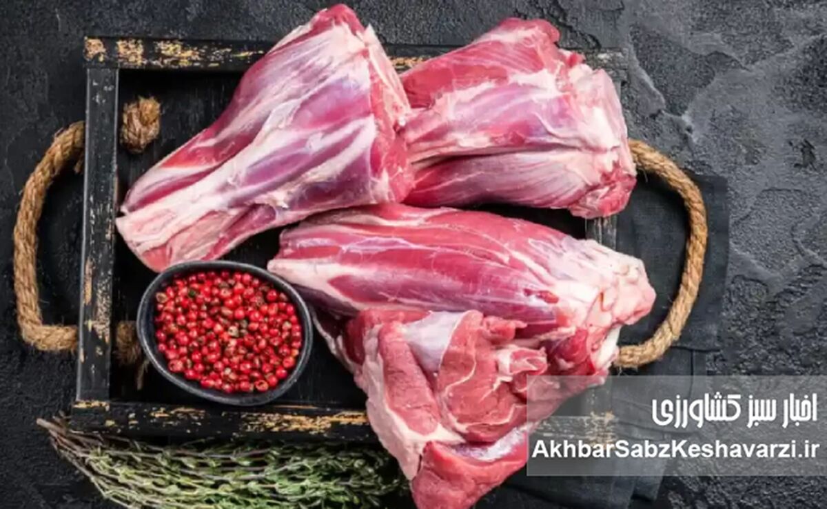 گوشت گران، دام ارزان؛ معمایی به نام توزیع که سفره‌ها را کوچک کرد