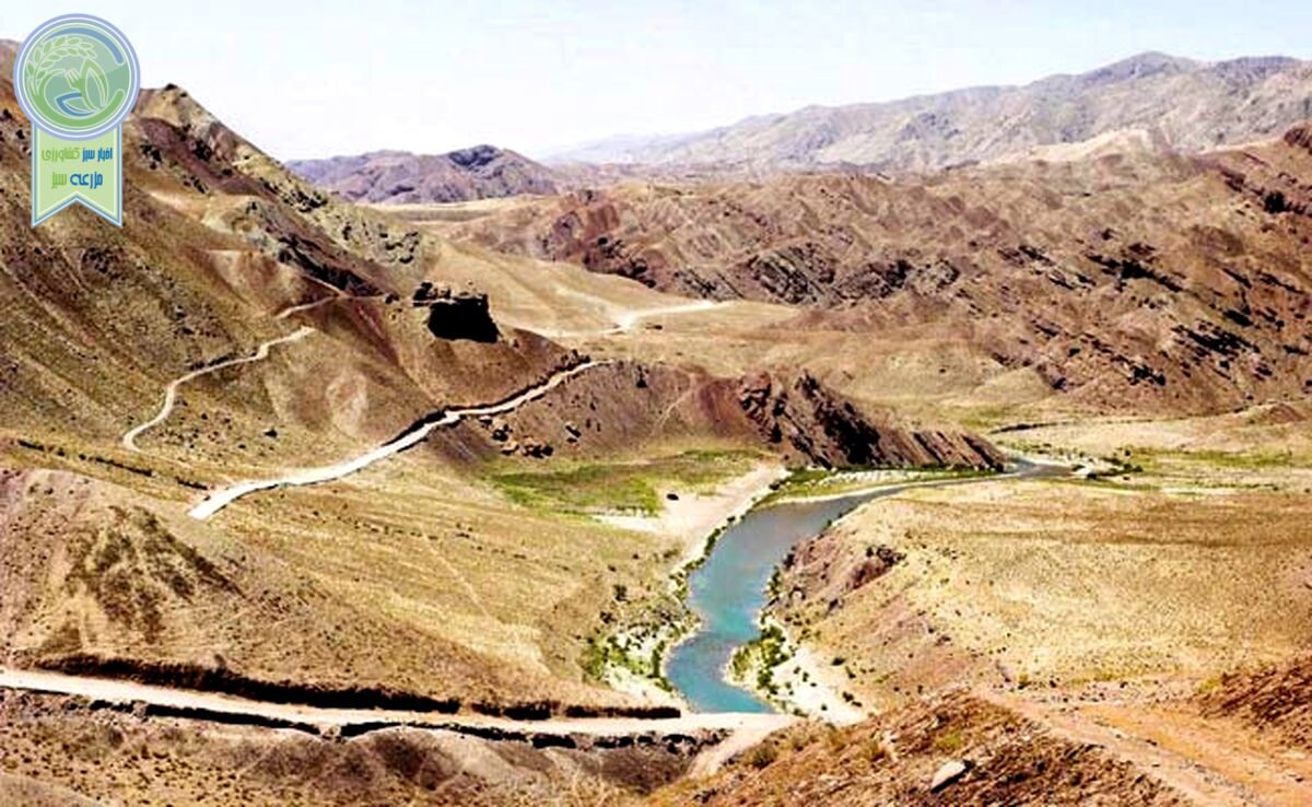  دست بالای طالبان

