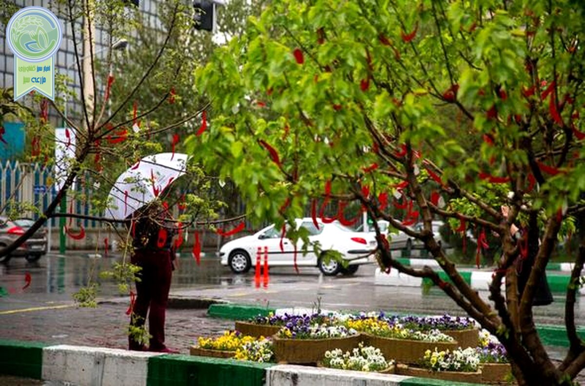 
سه روز جذاب بارانی در انتظار تهران