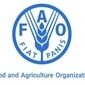 هشدار FAO درباره آینده خوراک دام؛ وقتی غذای انسان و دام بر سر منابع رقابت می‌کنند