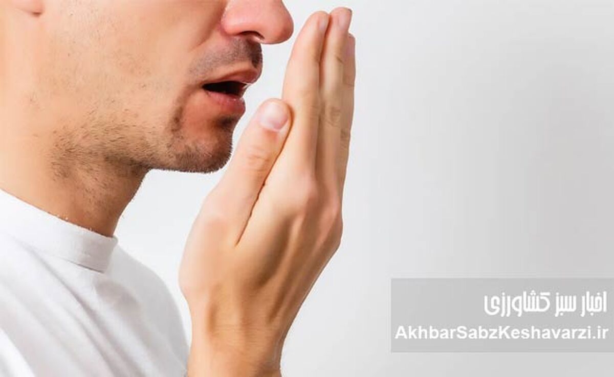 بوی بد دهان در محل کار؛ محیطی سالم‌تر با نفس‌های تازه‌تر