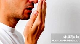 بوی بد دهان در محل کار؛ محیطی سالم‌تر با نفس‌های تازه‌تر