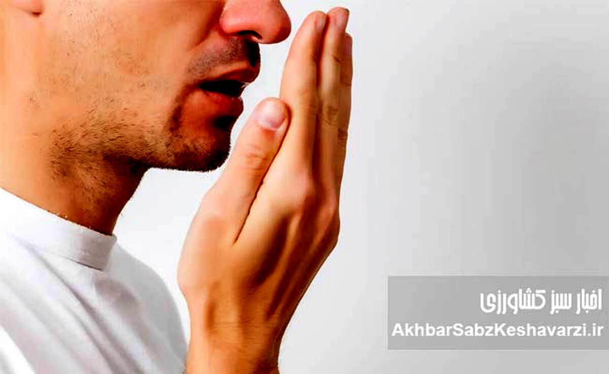 بوی بد دهان در محل کار؛ محیطی سالم‌تر با نفس‌های تازه‌تر