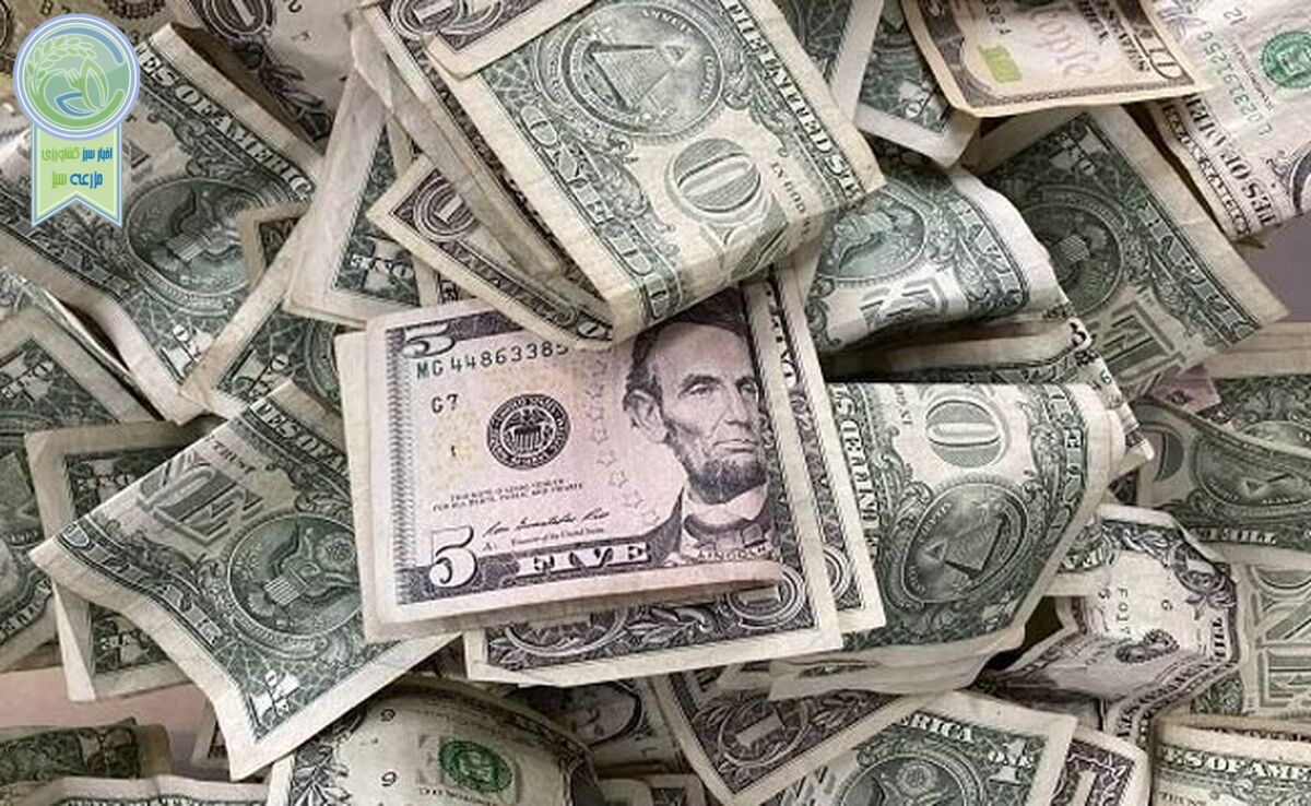 قیمت دلار و یورو امروز سه شنبه ۱۸ اردیبهشت ۱۴۰۳+ جدول
