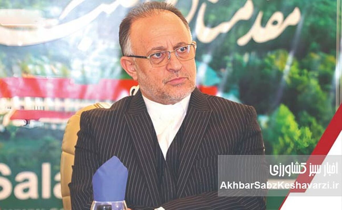 تحقیق و توسعه: موتور محرک موفقیت و صادرات شرکت صنایع چوب و کاغذ مازندران