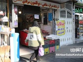 افزایش ۲۳ درصدی اعتبار کالابرگ؛ خبر خوش رئیس بانک مرکزی
