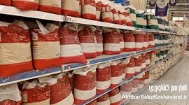 شوک ۴۰۰ هزار تومانی به بازار برنج؛ پشت پرده گرانی برنج شمال چیست؟

