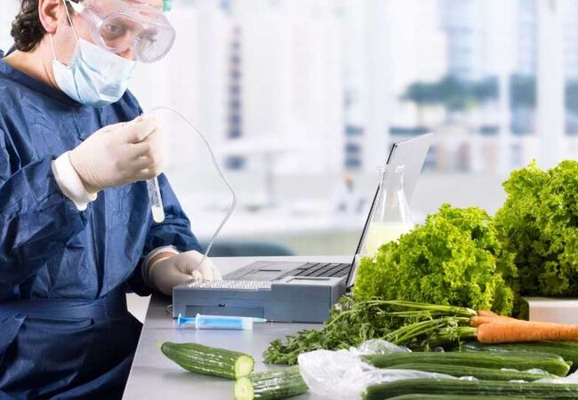 نقش HACCP در ارتقای ایمنی غذایی و کاهش خطرات تولید