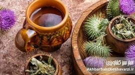 گیاهان مهم دارویی و کاربرد آنها